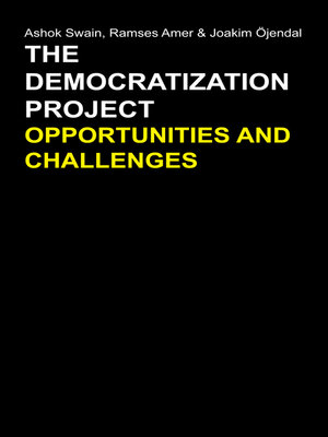 cover image of The Democratization Project